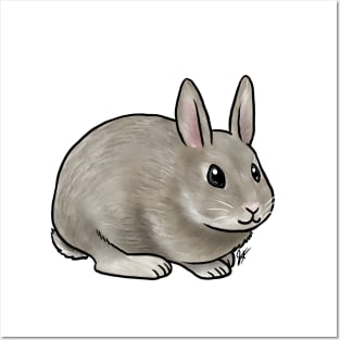 Small Mammal - Rabbit - Netherland Dwarf Posters and Art